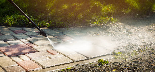 Best Solar Panel Cleaning  in Gray Summit, MO