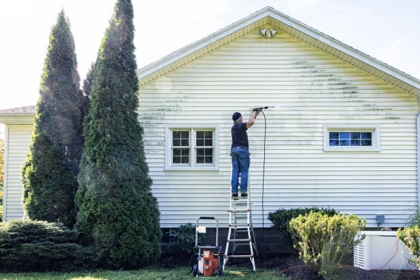 Best Building Exterior Washing  in Gray Summit, MO