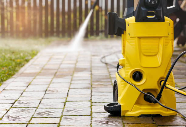 Animal Enclosure Cleaning in Gray Summit, MO